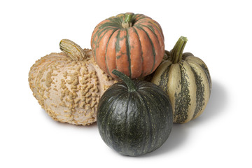 Variety of pumpkins