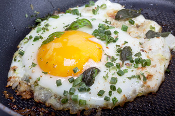 Fried egg in a frying pan