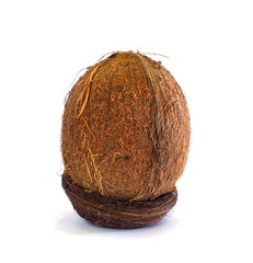 cocoanut