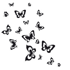 Fototapeta premium butterflies design