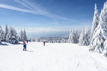 Ski Slope with a beautiful Winter Panorama