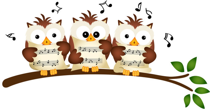 Three Owls Choir Singing