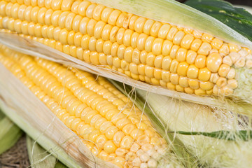 Corncobs