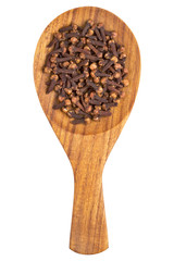 Cloves (Syzygium aromaticum) in the wooden spoon on white backgr