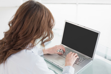 Fototapeta na wymiar Rear view of a brown haired businesswoman using laptop