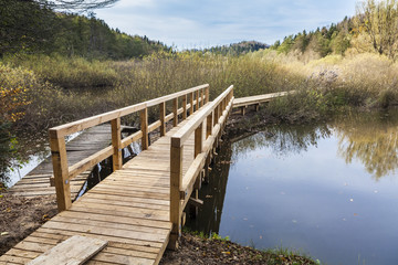 Fototapeta premium Wooden bridge across the lake in the woods