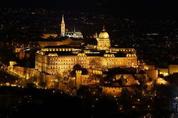 Fototapeta premium Castle of Buda