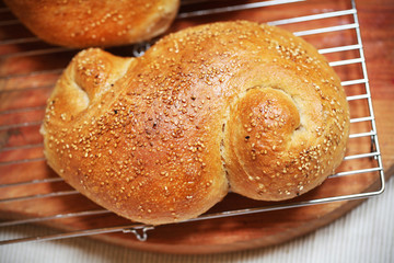 Sesame bread roll shaped and freshly baked, resting