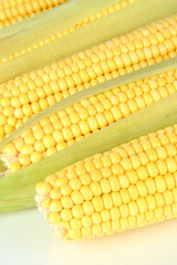 Crude corns  isolated on white