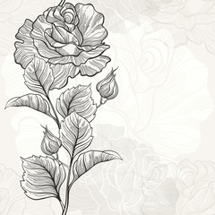 Monochrome seamless  background with roses.