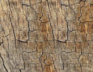 Wood texture