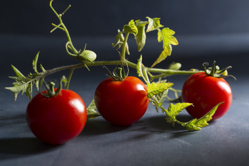 Tomaten