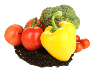 Vegetables with ground isolated on white