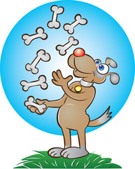 Dog juggling bones
