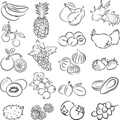 Vector illustration of fruits collection - 58090004