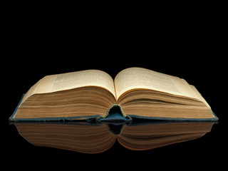 Fototapeta premium The opened book