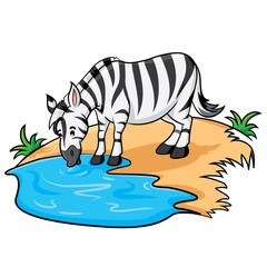 Zebra Cartoon