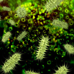 Bakterien - 3D Render