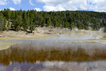 Yellowstone National Park, USA