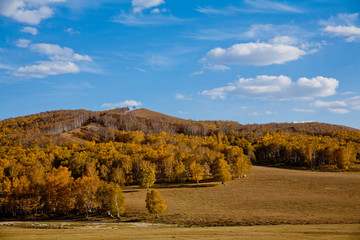 Prairie autumn scenery