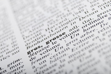 French dictionary page at word Fat