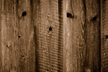 altes Holz Brett Holzwurm