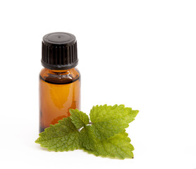 Cosmetic essential oil of lemon balm