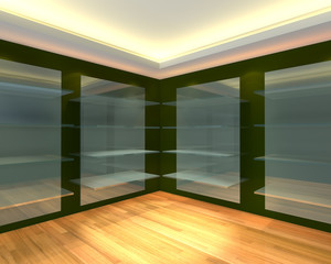 Glass shelves in green empty room