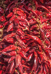 Fototapeta premium Paprikaschoten aus Tihany am Balaton in Ungarn