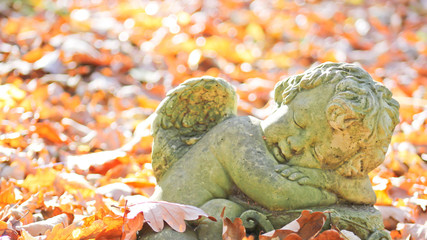 kleiner schlafender Engel im Herbstlaub