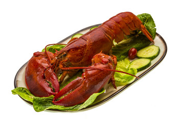Large Lobster