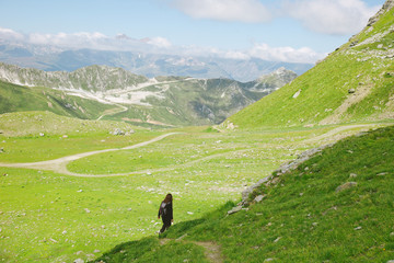 Fototapeta na wymiar Hiker woman walking on forest road in les Alps, France.
