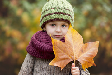 Boy with giant leaf