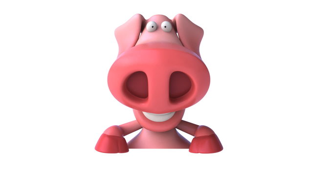 Pig