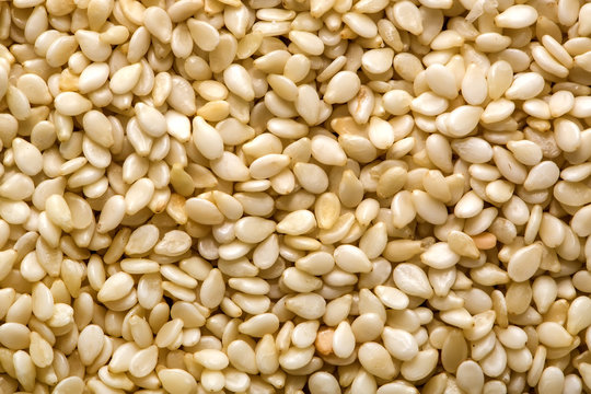 background of sesame seeds