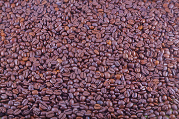 Close-up of coffee beans for background and texture