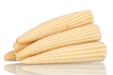 Baby corn on a white reflective background
