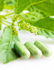 Herb capsule with green herbal leaf