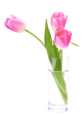 Pink tulips bouquet in vase isolated on white background