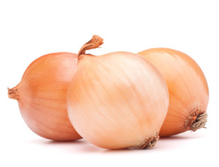 Fototapeta premium Gold onion vegetable bulbs