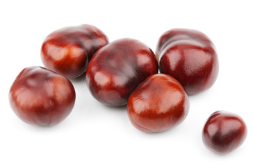 Group of chestnuts isolated on white background