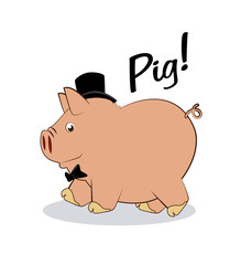 pig design