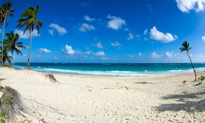 Fototapeta na wymiar Caribbean Beach