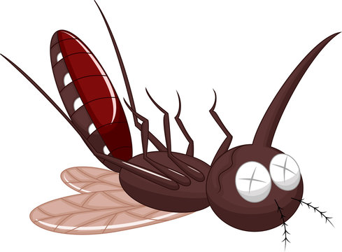 Death mosquito cartoon