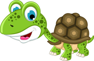 Cute turtle cartoon