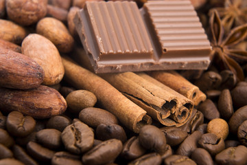 chocolate with coffee beans, spices and cacao