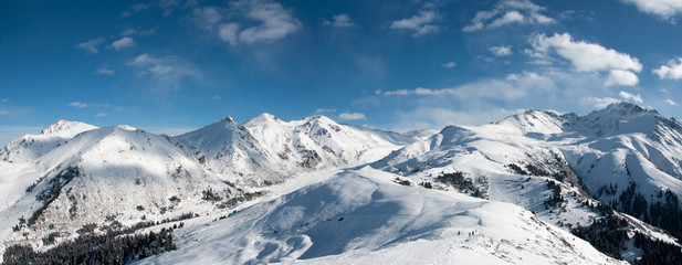 Plakat winter panoramic landscape