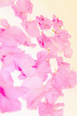 Fototapeta premium bougainvillea background in soft pink