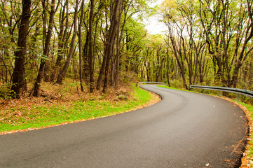 Fototapeta premium Autumn road