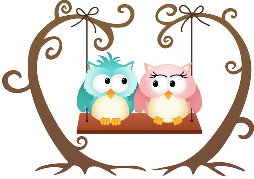 Cute couple owls in love on a swing